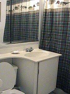 Salle de bain - Photo 1 sur 1