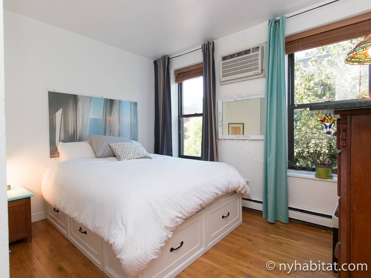 New York Apartment 1 Bedroom Apartment Rental in Park Slope (NY9171)