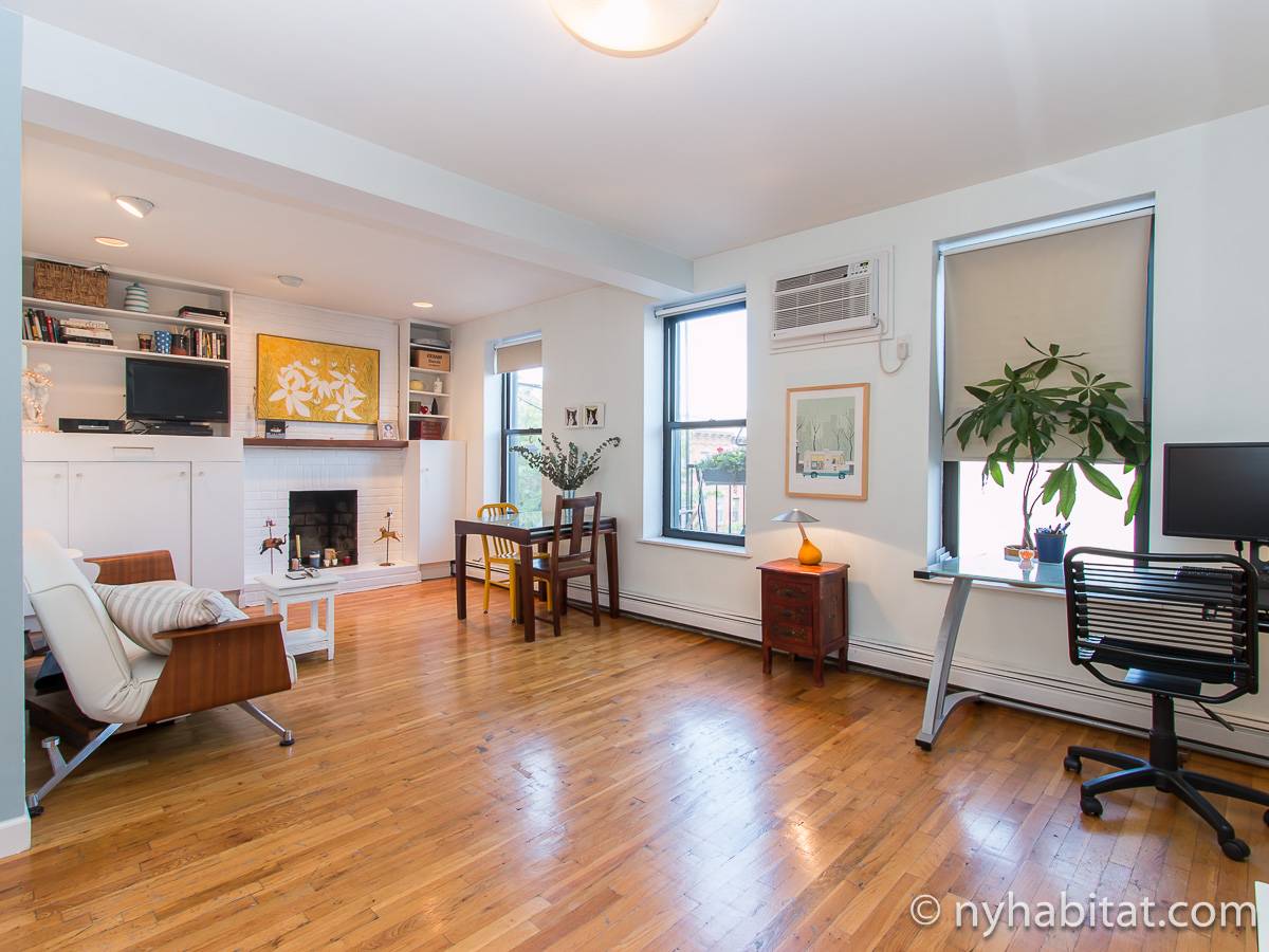 New York Apartment 1 Bedroom Apartment Rental in Park Slope (NY9171)