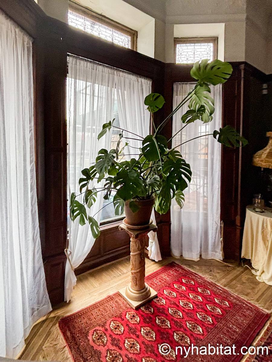 Living room 1 - Photo 5 of 5