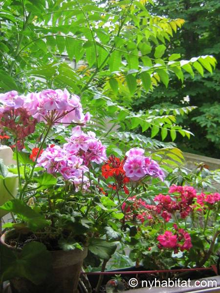 Otras - Photo 3 de 3 Otras - Photo 3 de 3