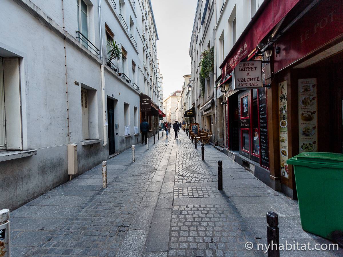 Paris 1 Bedroom Duplex Apartment Rental in Mouffetard