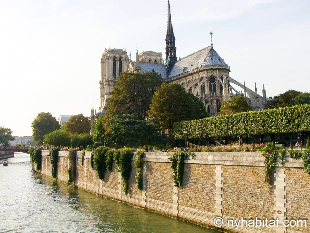 Other - Photo 7 of 8 Other - Photo 7 of 8