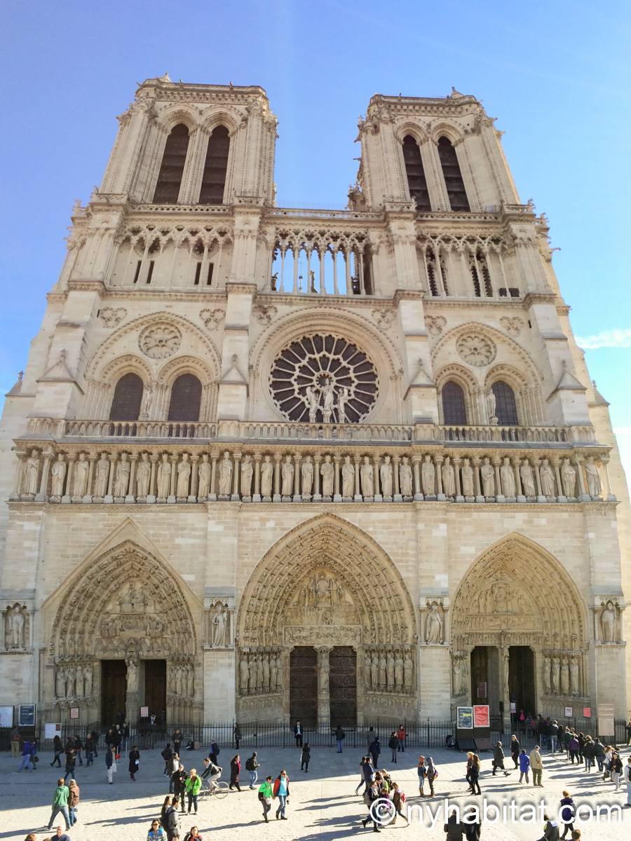 Other - Photo 8 of 8 Other - Photo 8 of 8