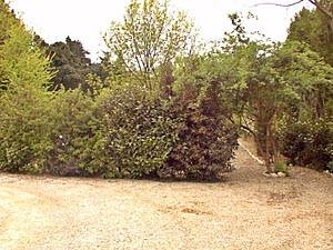Other - Photo 3 of 4