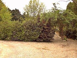 Otras - Photo 8 de 9