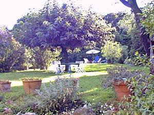 Other - Photo 10 of 19