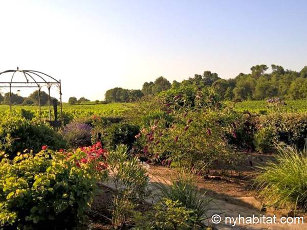 Other - Photo 14 of 19