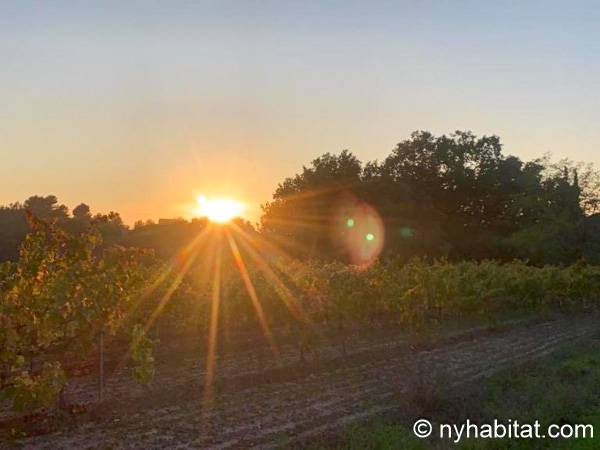 Other - Photo 18 of 19