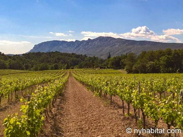 Other - Photo 17 of 19