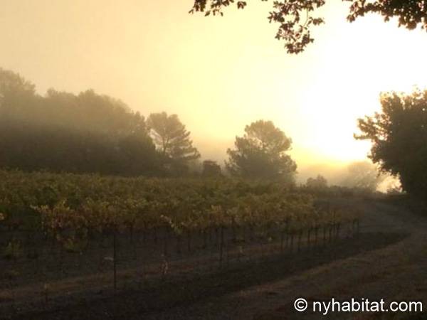 Other - Photo 19 of 19