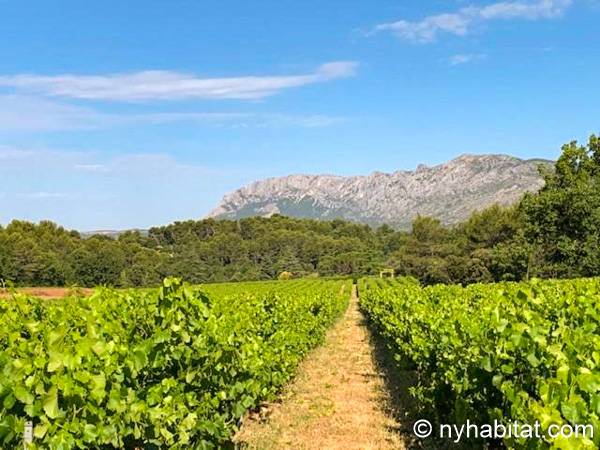 Other - Photo 16 of 19