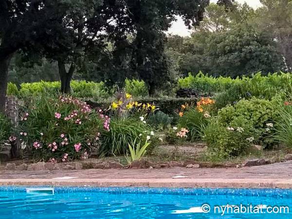 Other - Photo 8 of 19