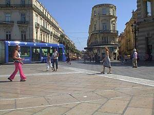 Autre - Photo 7 sur 7