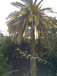 Autre - Photo 1 sur 44
