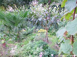Autre - Photo 25 sur 44