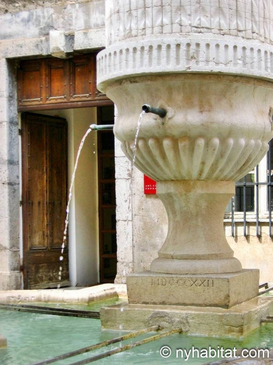 Altro - Photo 12 di 15