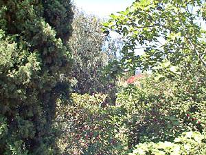 Andere - Photo 6 von 39