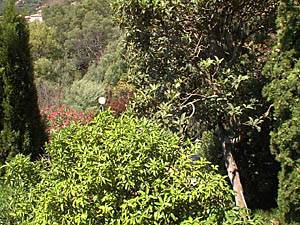 Andere - Photo 9 von 39