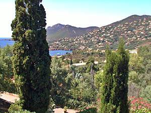 Andere - Photo 10 von 39