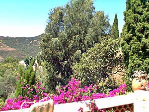 Andere - Photo 13 von 39