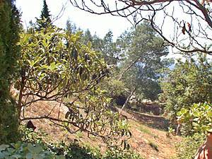 Andere - Photo 14 von 39