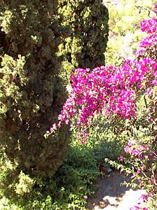 Andere - Photo 15 von 39