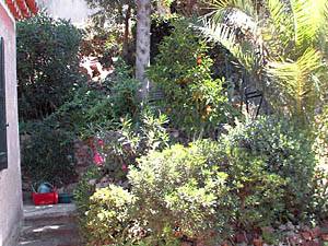 Andere - Photo 16 von 39