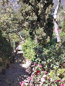 Andere - Photo 17 von 39