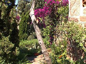 Andere - Photo 18 von 39