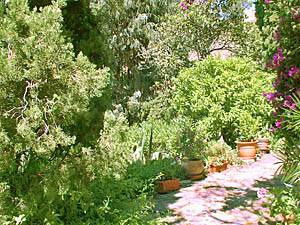 Andere - Photo 22 von 39