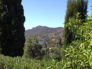 Andere - Photo 27 von 39