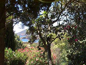 Andere - Photo 32 von 39