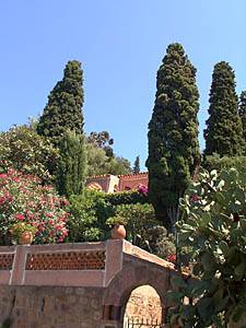 Andere - Photo 34 von 39