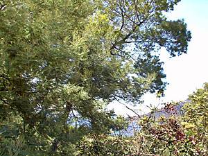 Andere - Photo 36 von 39