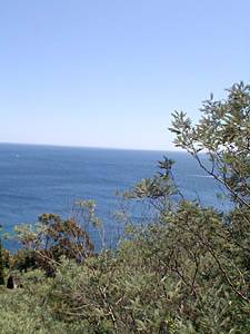 Andere - Photo 38 von 39