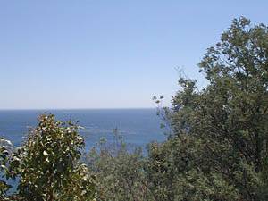 Andere - Photo 39 von 39