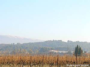 Other - Photo 24 of 24