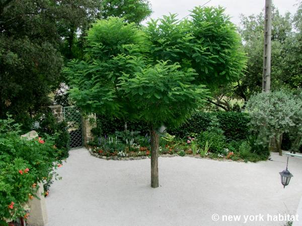 Other - Photo 5 of 24