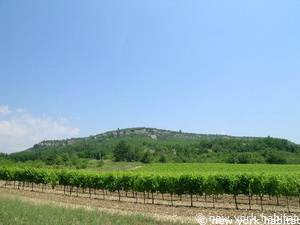 Autre - Photo 8 sur 9
