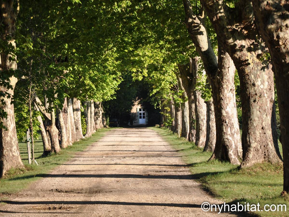 South France 6 Bedroom Mas Rental in Uzès, Provence (Apartment PR1007)