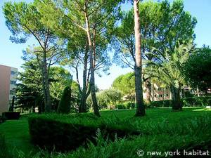 Otras - Photo 3 de 9