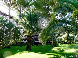 Otras - Photo 5 de 9