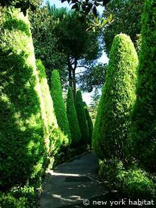 Otras - Photo 7 de 9