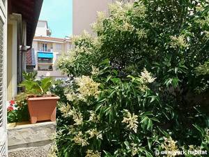 Other - Photo 7 of 18 Other - Photo 7 of 18