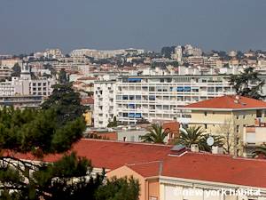 Altro - Photo 3 di 8