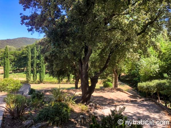 Other - Photo 9 of 17