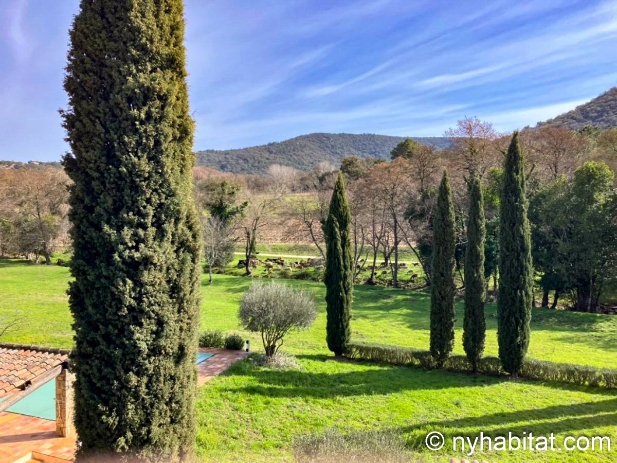 Other - Photo 11 of 17