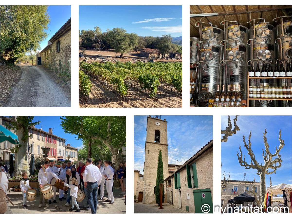 Other - Photo 17 of 17