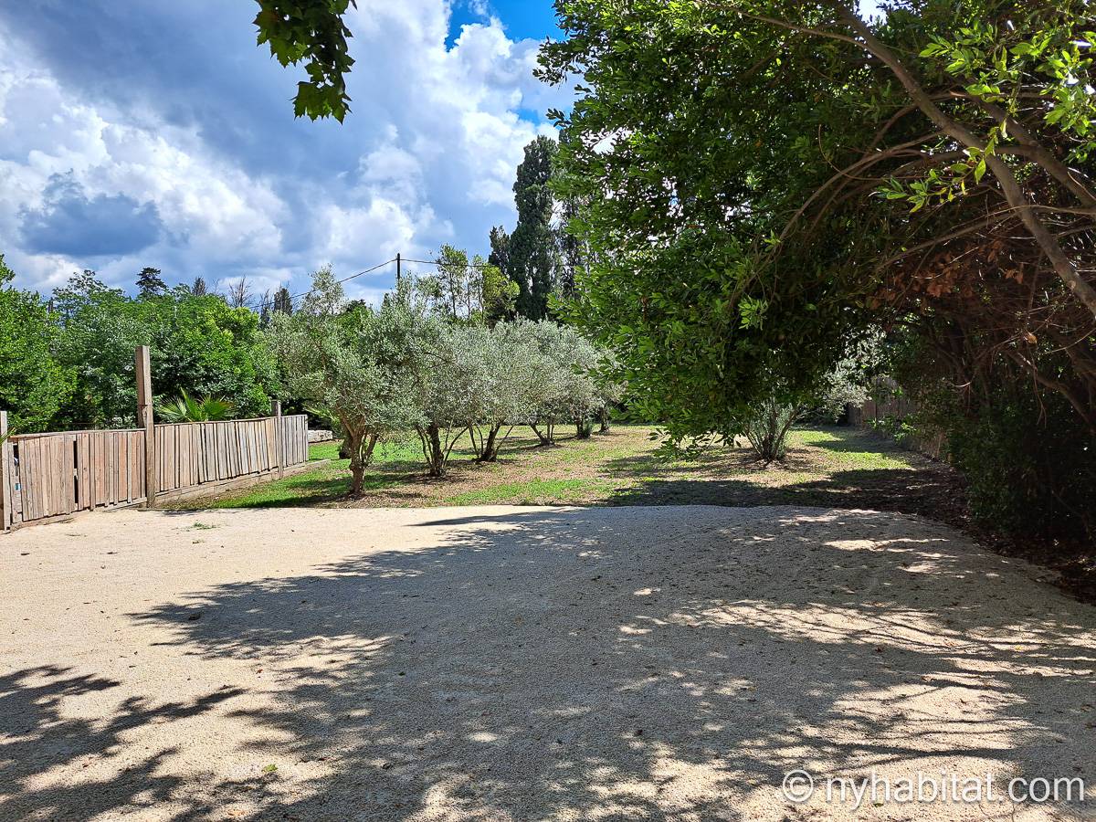 Other - Photo 9 of 12